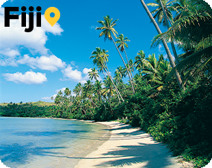 palm trees on a white sand beach on Toko Riki Island Resort Fiji 