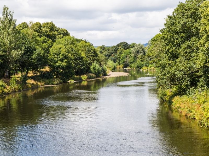 Bute Park with a river flowing through