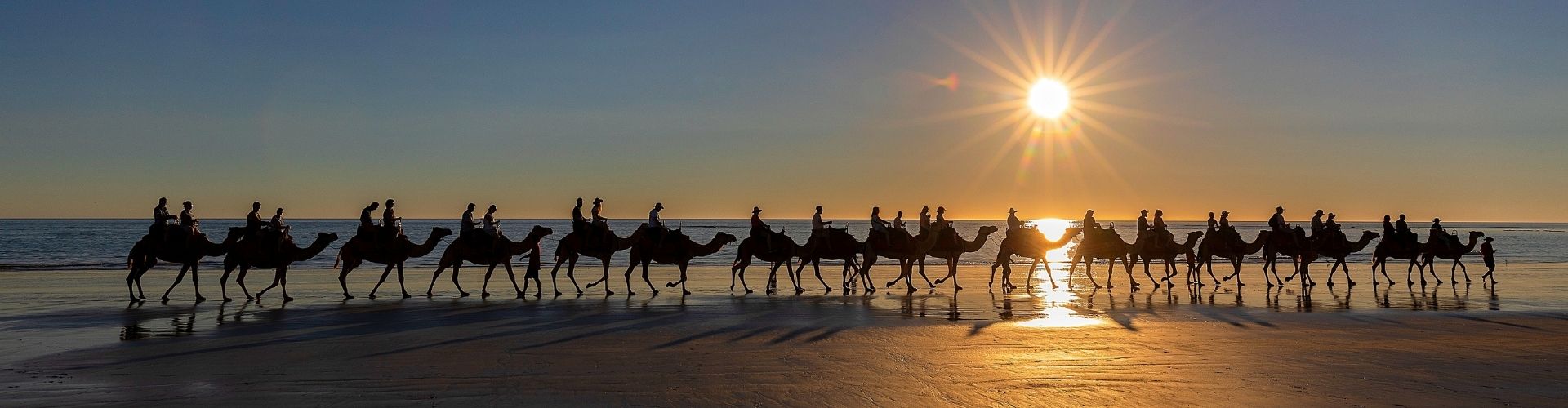 Camels at Cable Beach