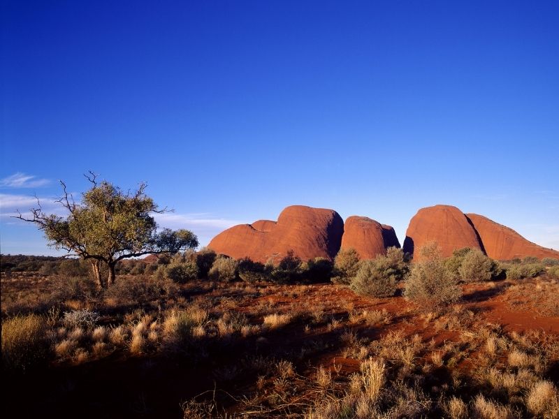 Rock formation in the desert