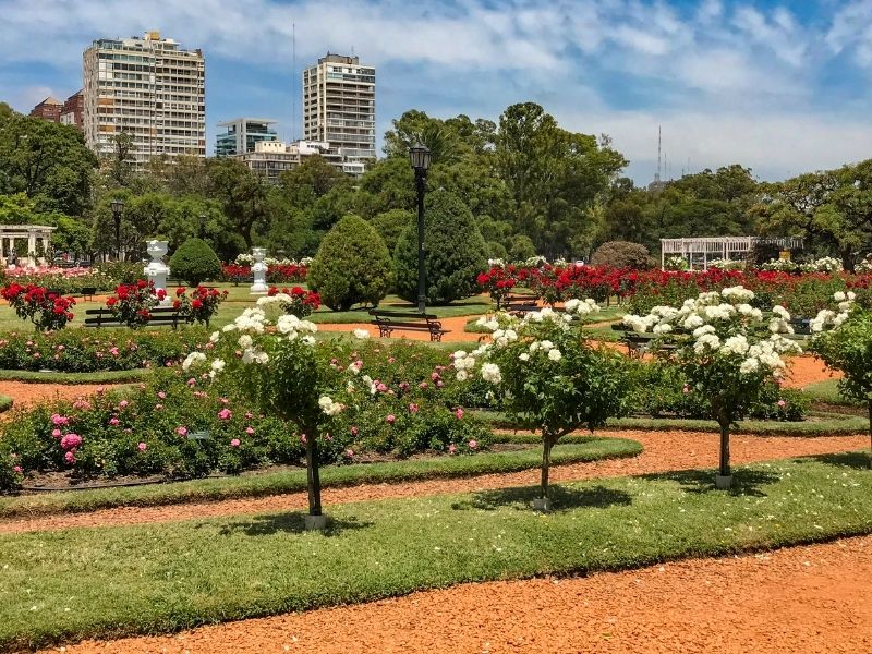 Beautiful park with roses