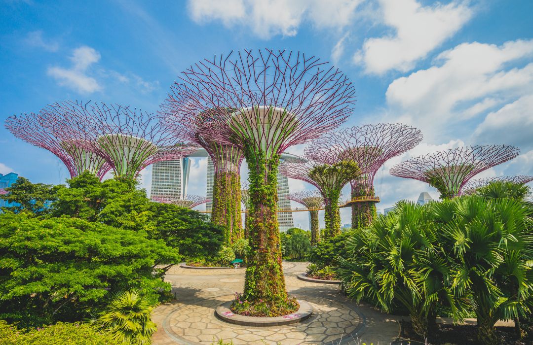 gardens by the bay singapore