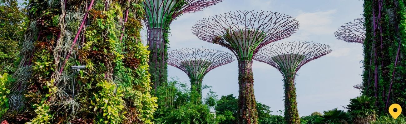singapore-gardens