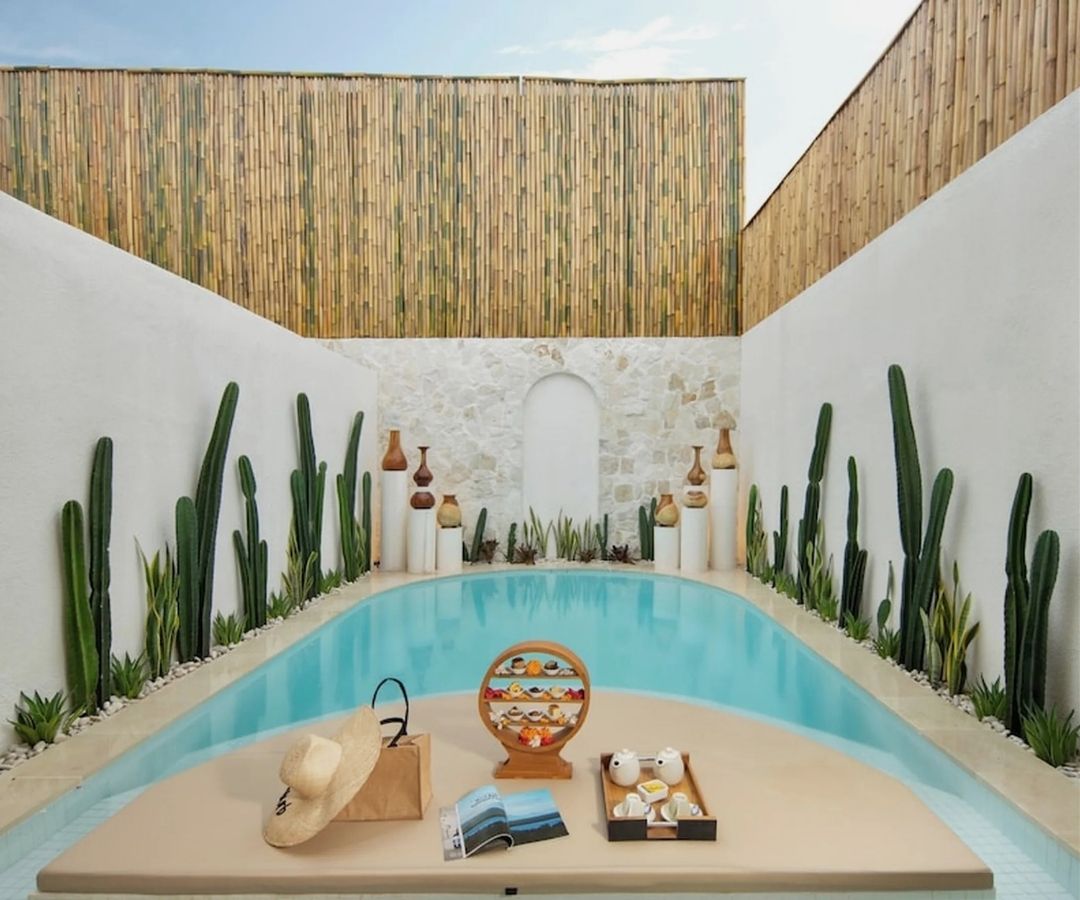Modern pool with plants surrounding it