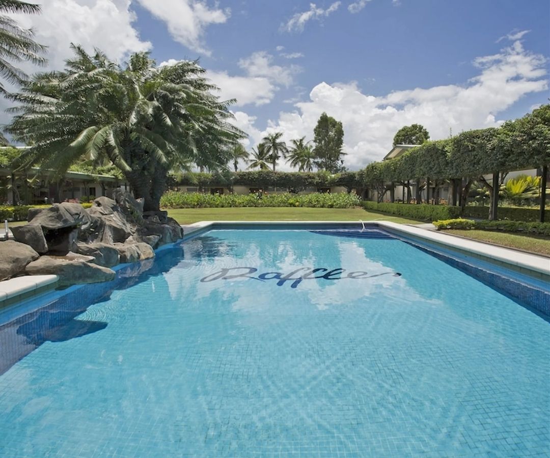 Pool surrounded by palm trees