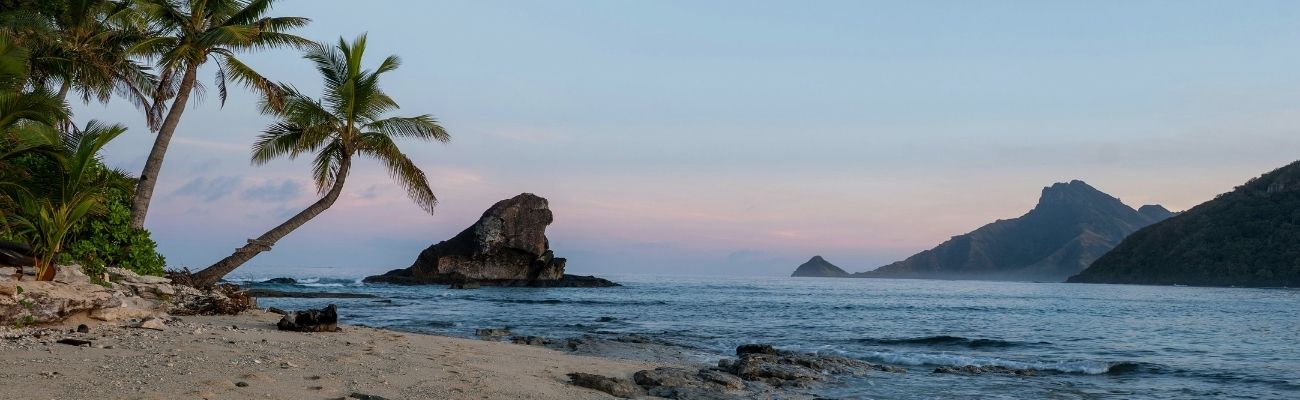 Palm tree beach at sunset