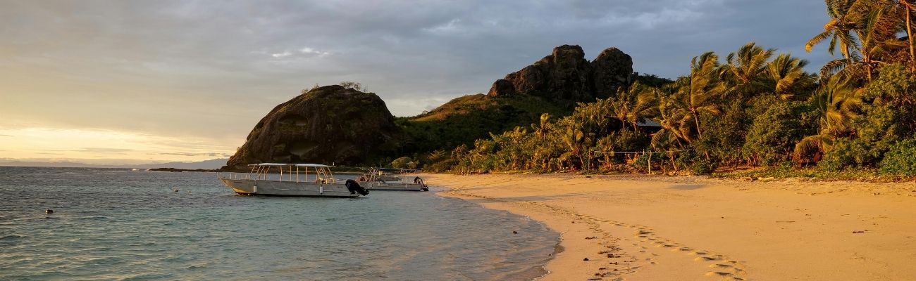 Palm tree beach at sunset