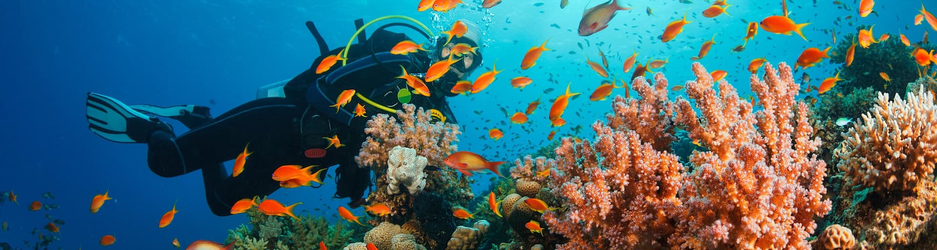rayyu-maldives
