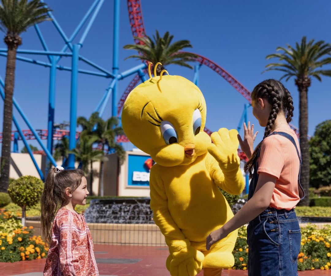 Theme Park