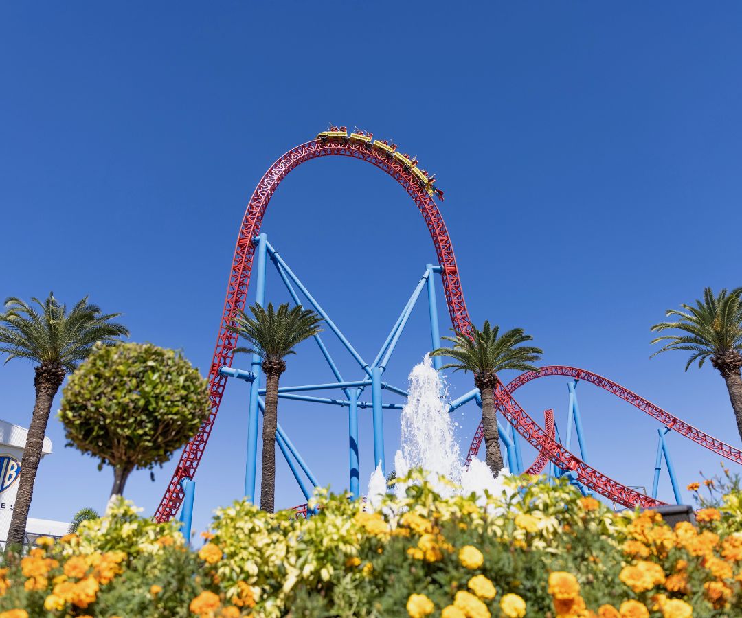 Roller coaster