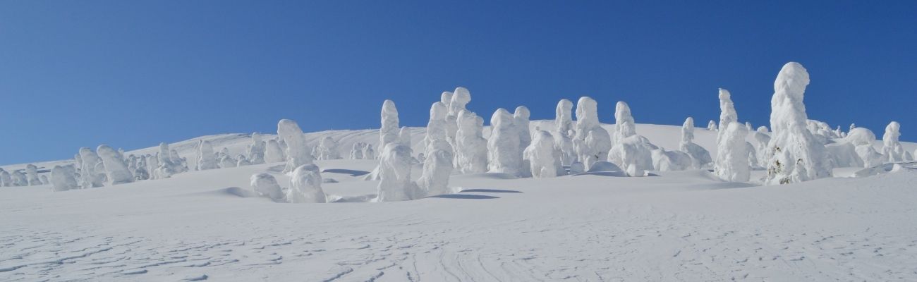 Zao Snow Monsters Japan