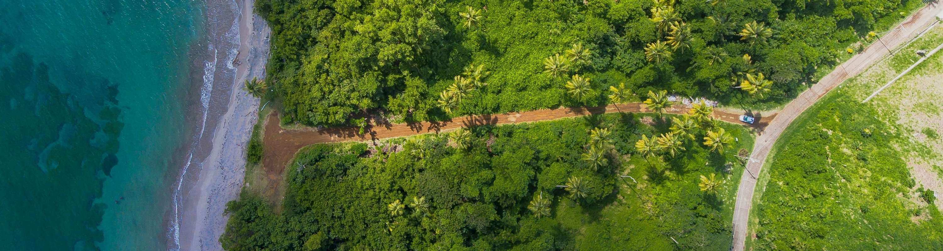 nature-greenery