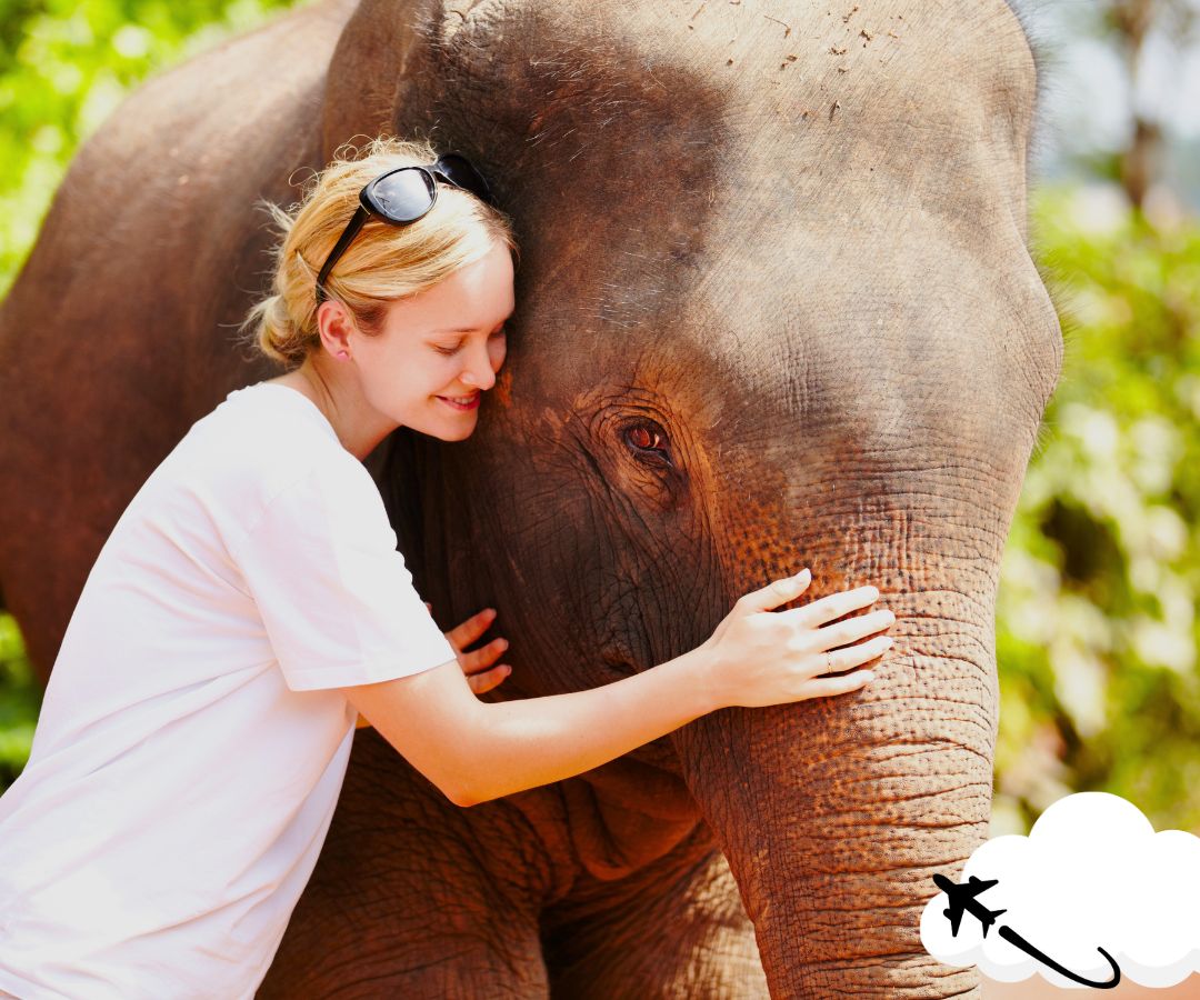 ao-nang-elephant-sanctuary