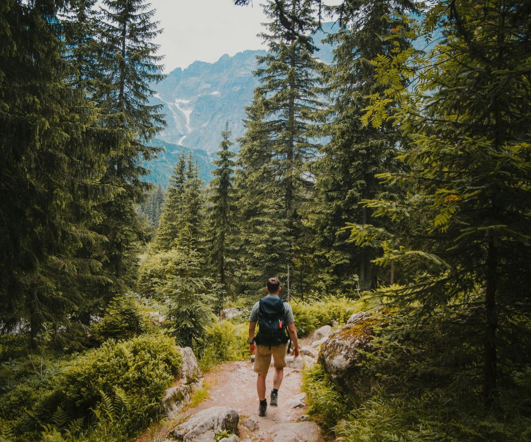 Person hiking in the forest