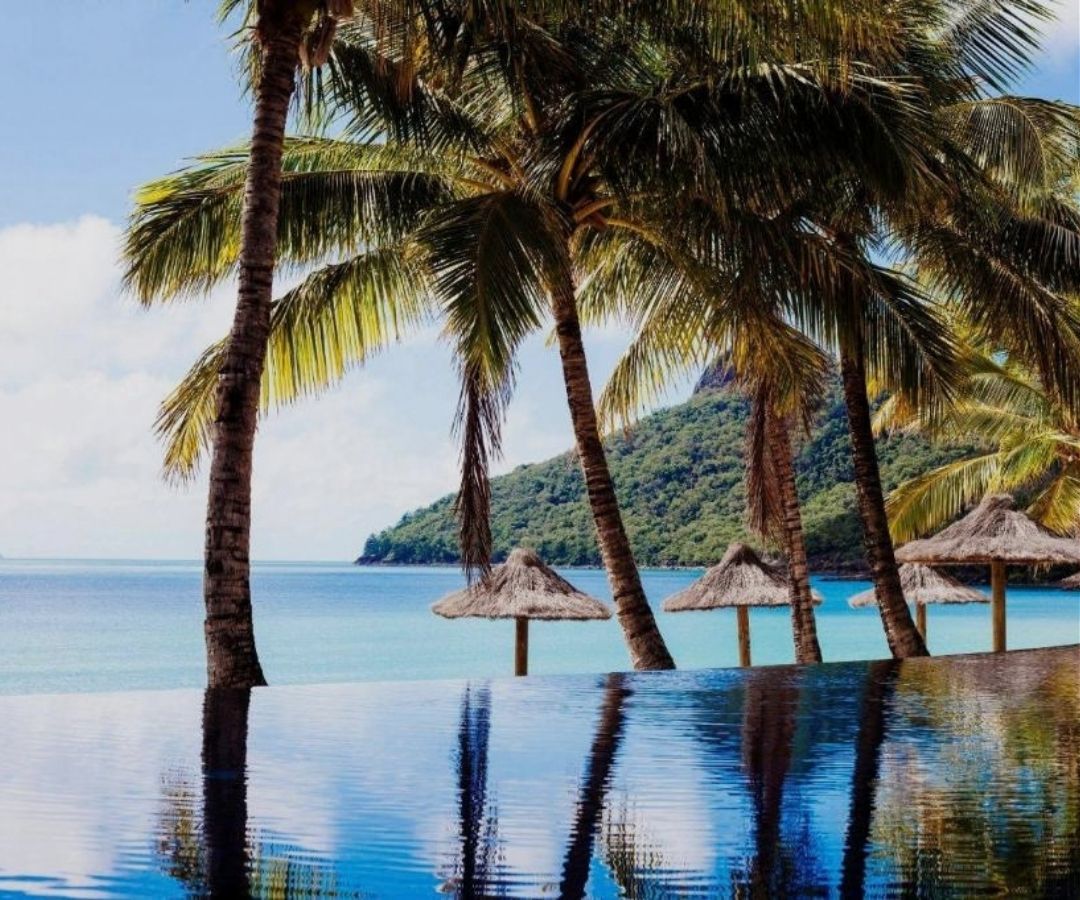 Pool with palm trees