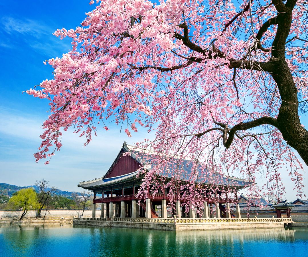 seoul