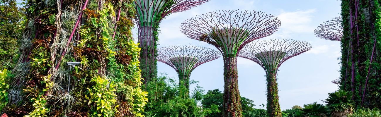 singapore-gardens