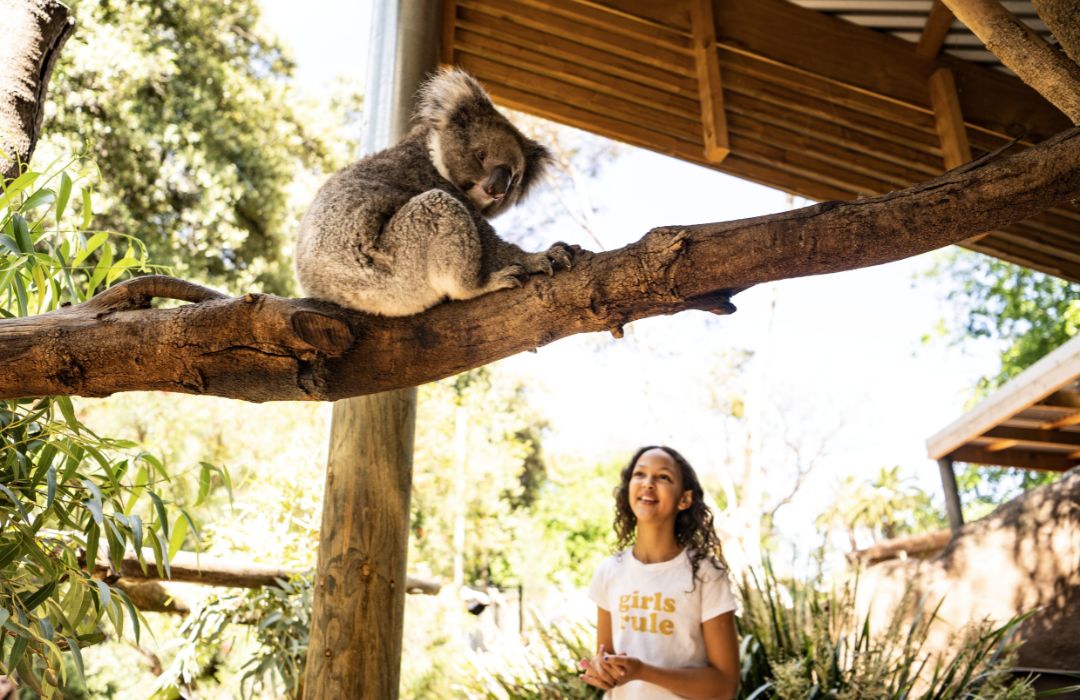 Adelaide-girl-at-zoo