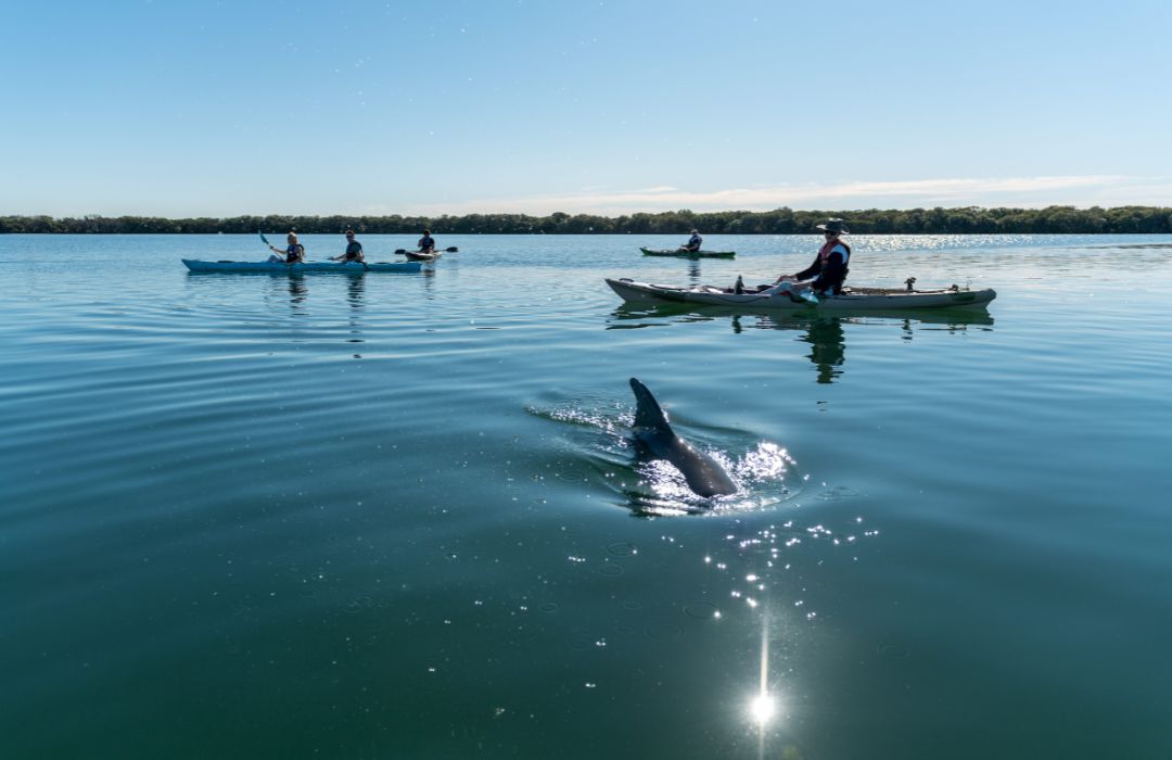 Adelaide-kayaking