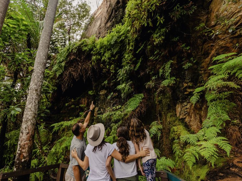 Bundaberg nature walk