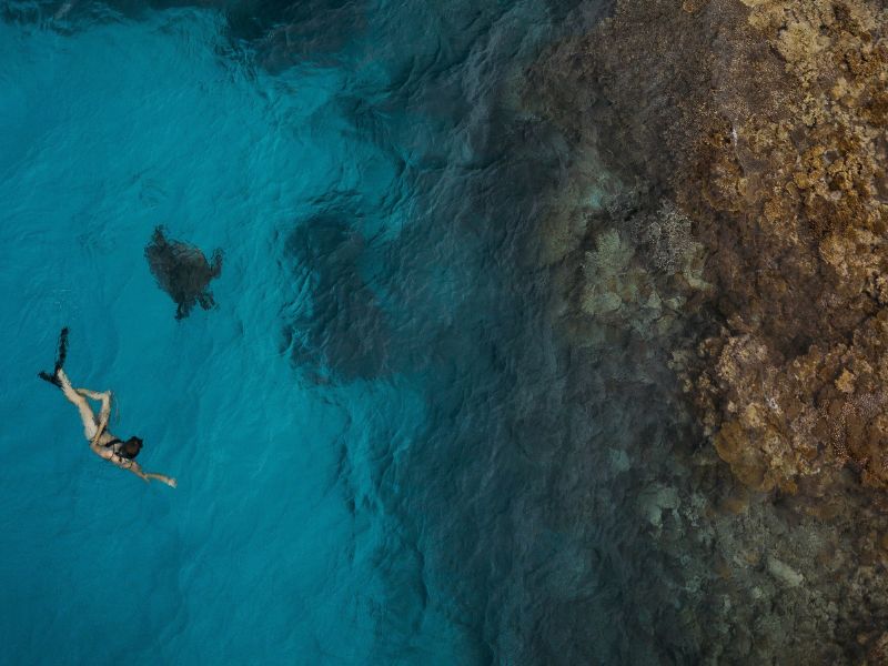 Snorkeling with Turtles in Bundaberg