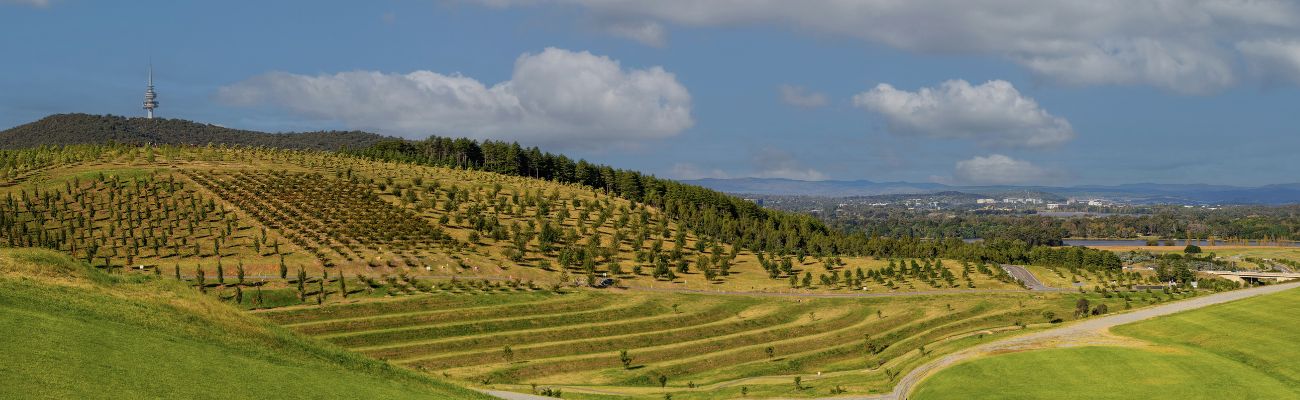 canberra-vineyards
