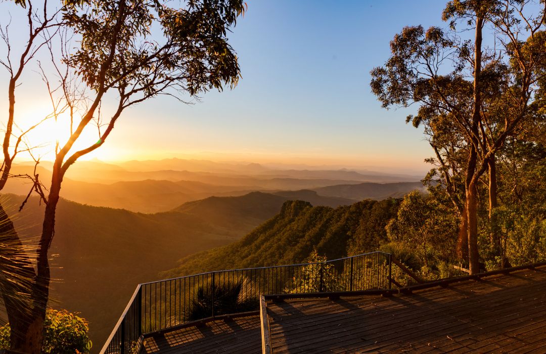gold-coast-hinterlands
