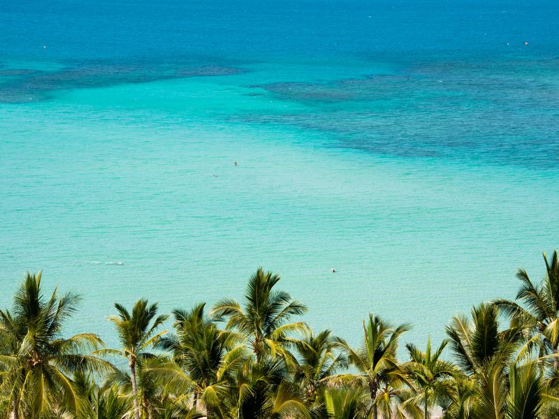 hamilton-islands