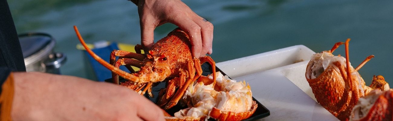seafood