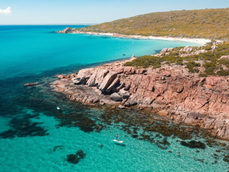 paddle-boarder-sunshine-coast