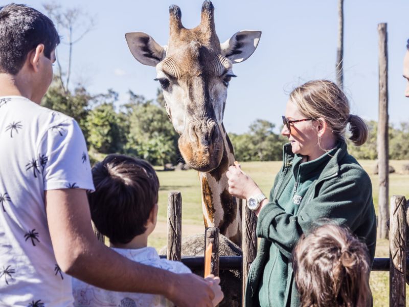 zoo-sunshine-coast