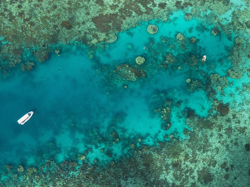 whitsundays-reed