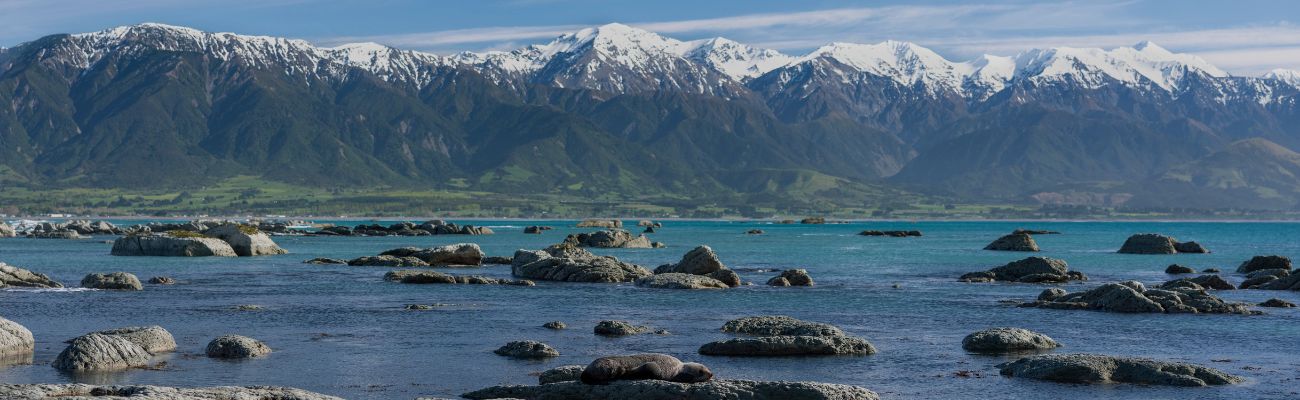 christchurch-nature-scenery