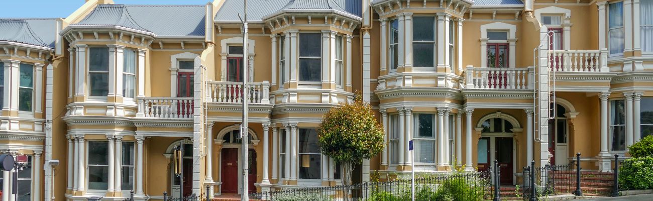 Dunedin-houses