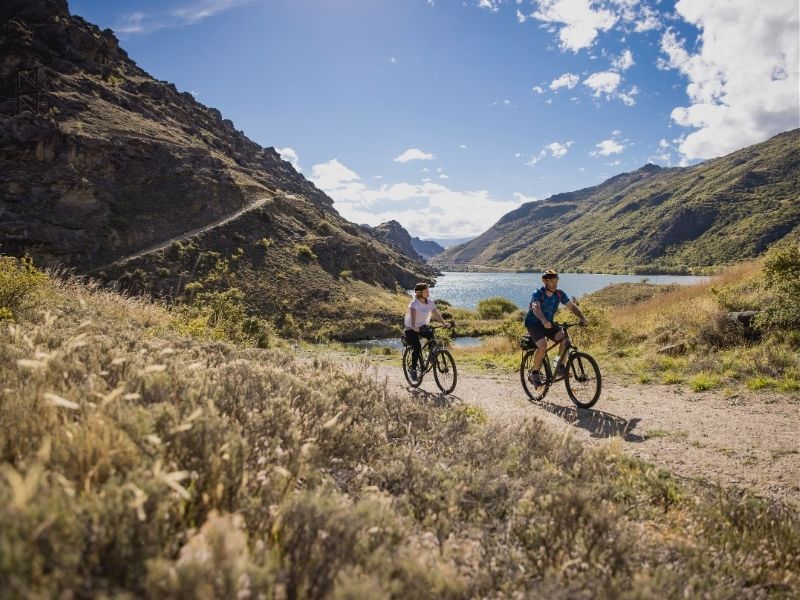 dunedin-bike