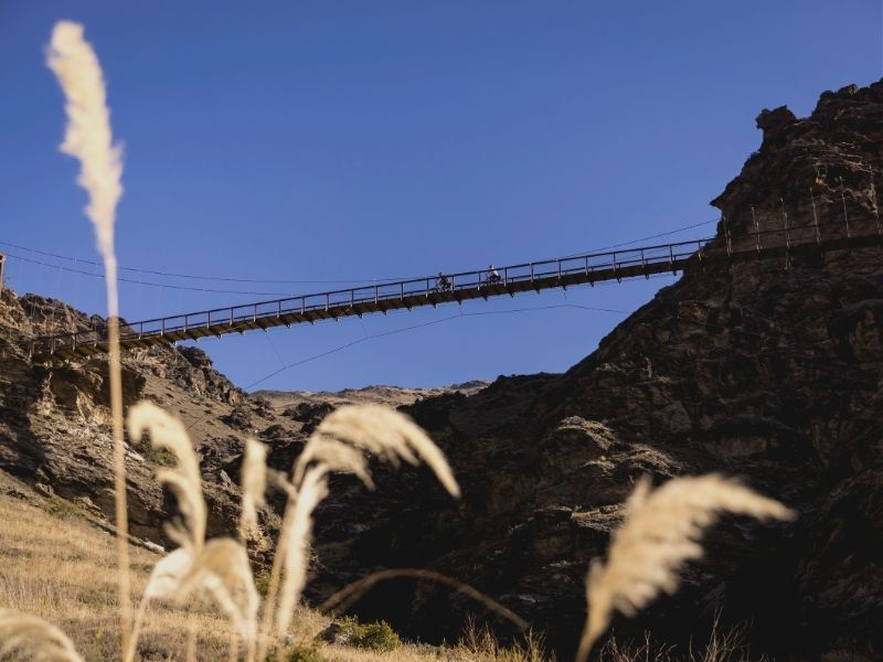 dunedin-bridge