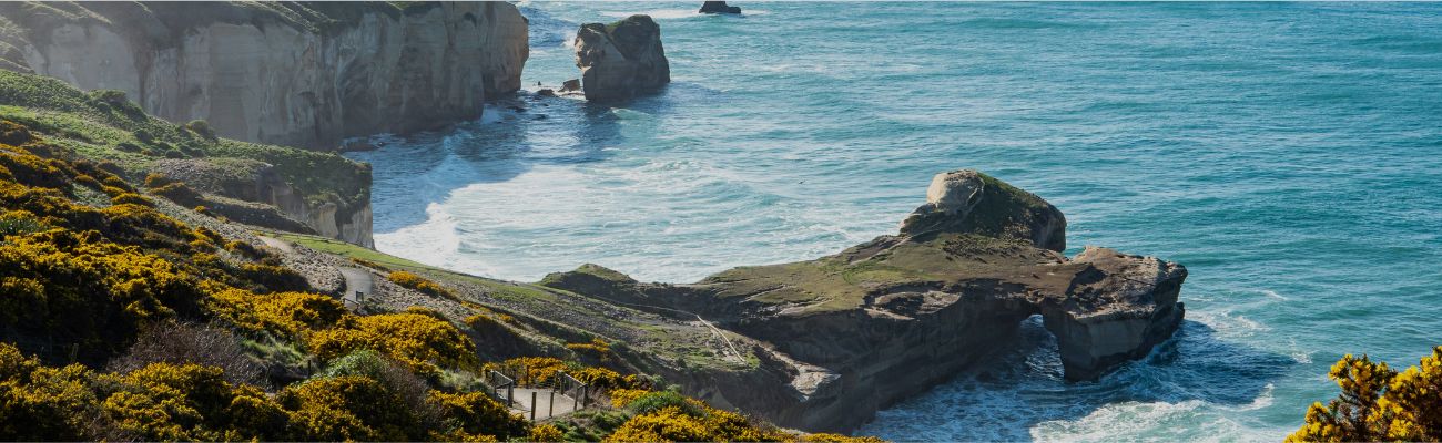 dunedin-landscape