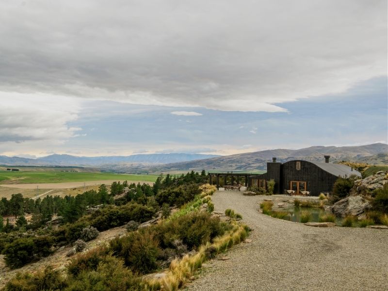 dunedin-landscape