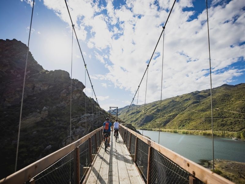 dunedin-bridge