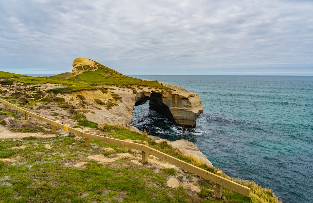 Dunedin-tunnel-beach
