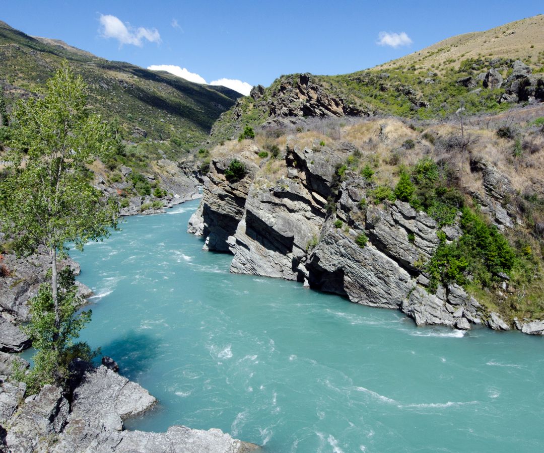 Dunedin-river