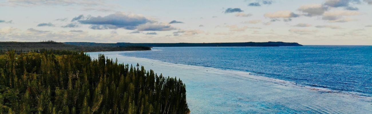New Caledonia coast with trees