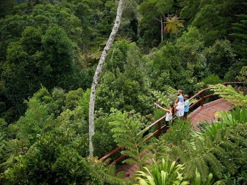 family on lookout norfolk island