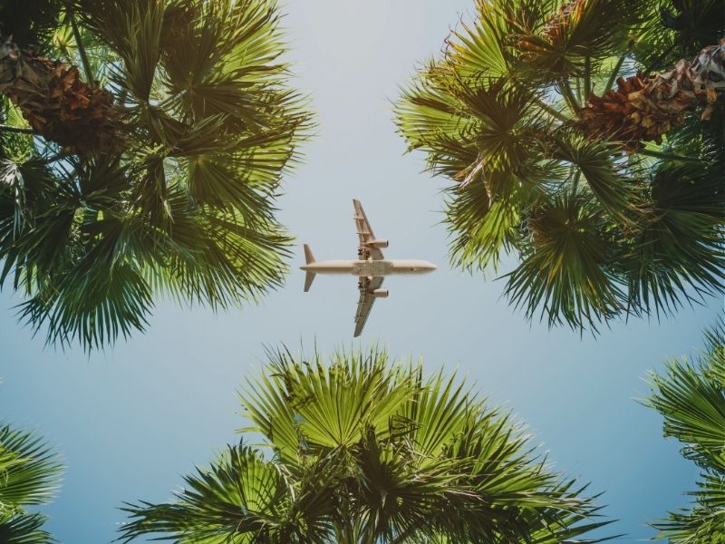 tonga-plane