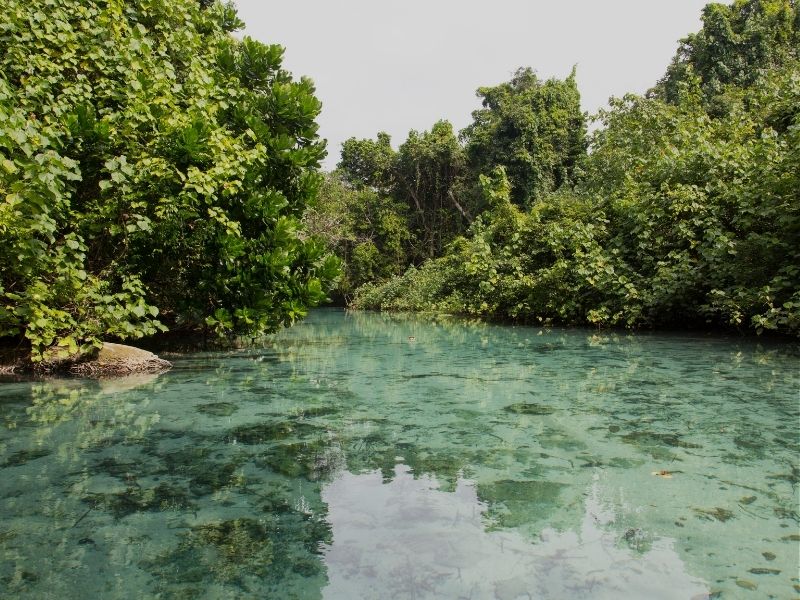 vanuatu-watering-hole