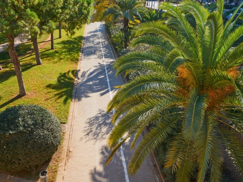 Turia Gardens