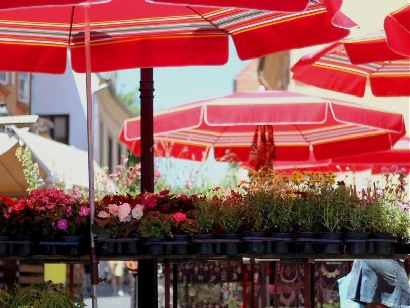 Zagreb market