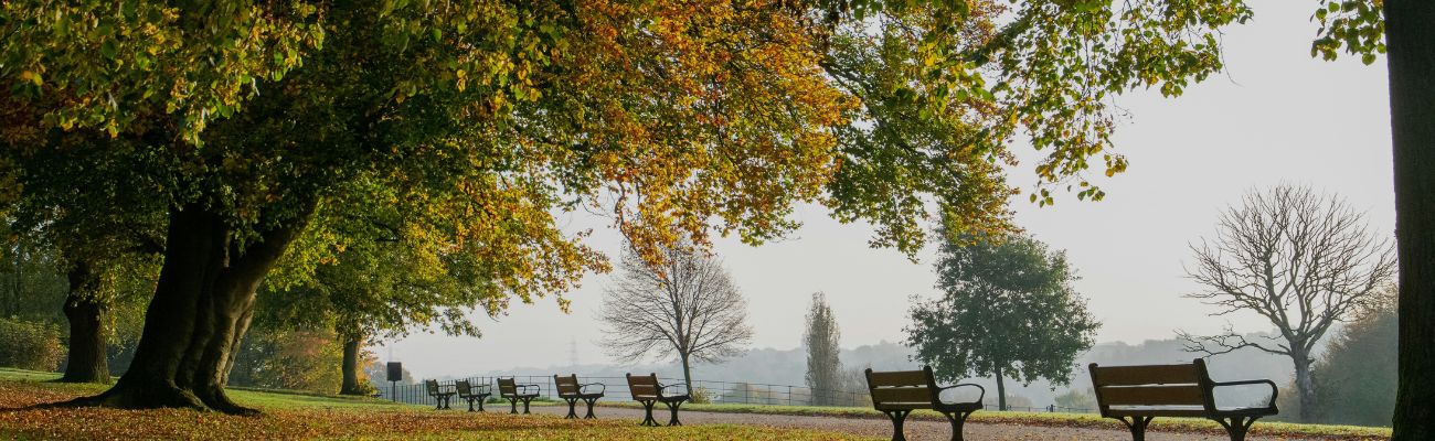 Manchester Park