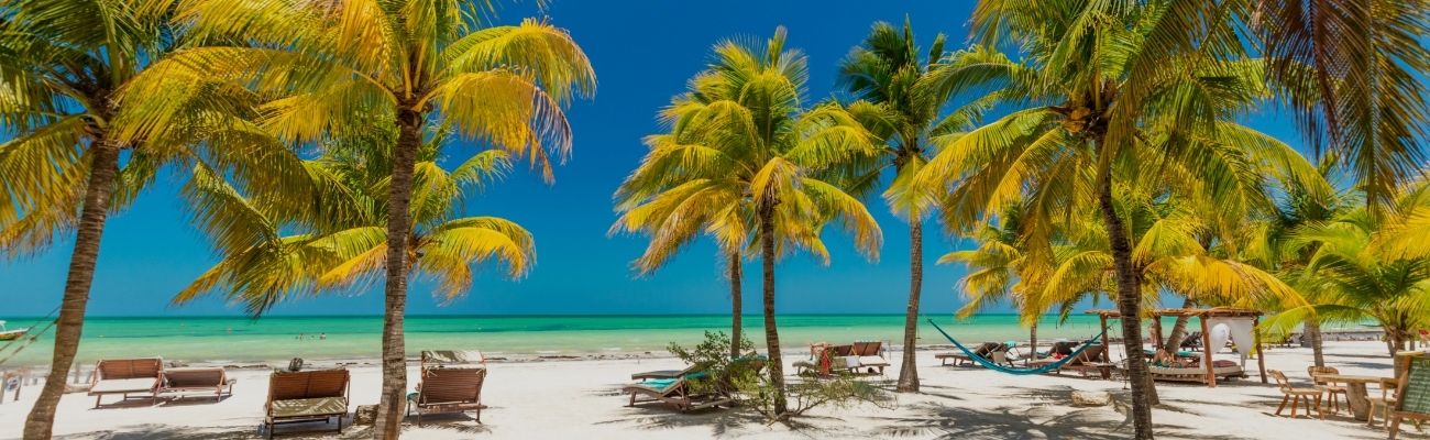Sunny palm beach Mexico