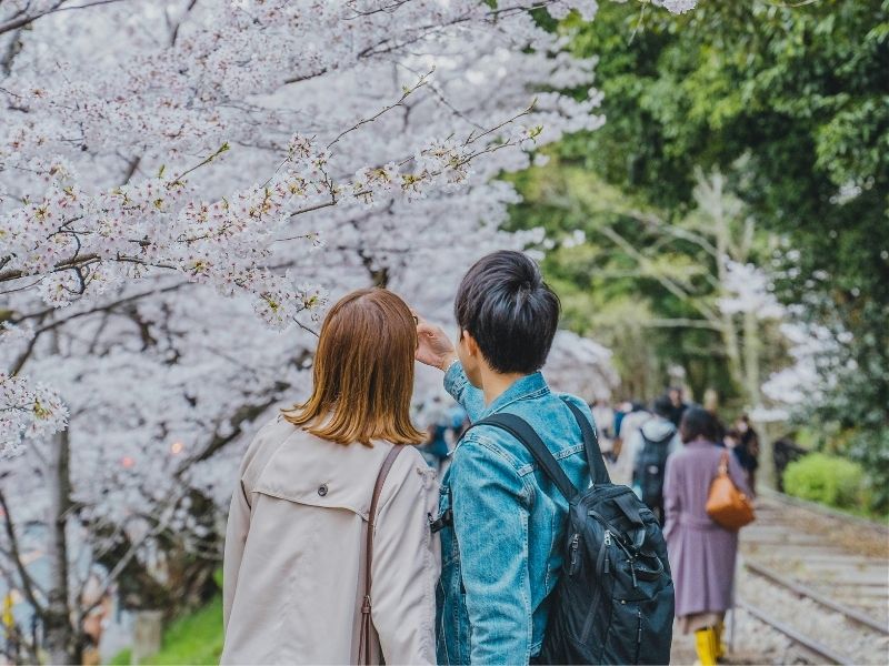 couple taking phots of cherry blossoms